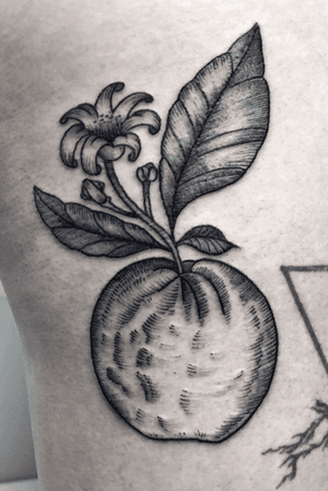 Tattoo by sonar 1091 tattoo