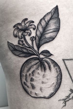 ⚫️⚫️mandarina⚫️⚫️pieza para la compi @patrizia_pozo , aguanto bien la jodia jajaj.Si tienes alguna idea manda un direct👆👆👆#madridtattoo #tattoo #tattoos #tatuaje #tattooed #tattooart #design #tattooflash #tattoodesign  #art  #ink #inked #irezumi #inkstagram #traditionaltattoo #traditionalart  #sketchytattoo  #neotraditional #blackwork #blackworkers #onlyblackart #darkartists