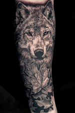 Wolf piece to start off a sleeve #wolftattoo #wolf #blackandgrey #tattoosleeve #animalportrait #realistictattoo #austin #ATX #kyletx #Texas #losangeles 