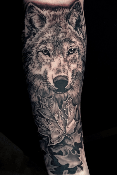 Wolf piece to start off a sleeve #wolftattoo #wolf #blackandgrey #tattoosleeve #animalportrait #realistictattoo #austin #ATX #kyletx #Texas #losangeles 