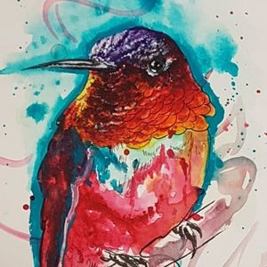 Color study for hummingbird tattoo 