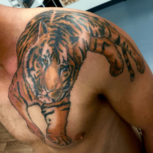 Tiger piece..