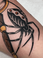 Spider by @zimovan. #traditional #traditionaltattoo #spider #whipshading #AmericanTraditional #brighttattoos #bright #BoldTattoos #creepy #animal #animaltattoo #ashevillenc #nctattooers 