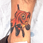 New school goldfish tattoo done on a leg down near his ankle. 