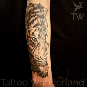 #glitch tattoo #tiger tattoo @newyorktattooartist @tattoowonderland #youbelongattattoowonderland #tattoowonderland #brooklyn #brooklyntattooshop #bensonhurst #midwood #gravesend #newyork #newyorkcity #nyc #tattooshop #tattoostudio #tattooparlor #tattooparlour #customtattoo #brooklyntattooartist #tattoo #tattoos 