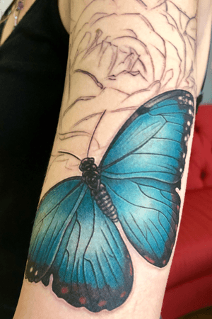 Beginning of a black and grey floral shoulder with color butterflies. #inprogress #color #butterflytattoo 