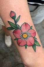 cover up tattoos #sakuratattoo #coverup #pink #japaneseflower #flowertattoo #seoultattoo