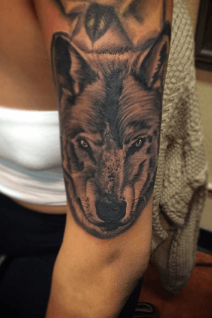 Wolfy 