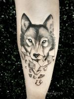 Lobo com geometria Tatuagem exclusiva @li.pessutto #lipessutto #wolf #blackandgreytattoo #wolftattoo 