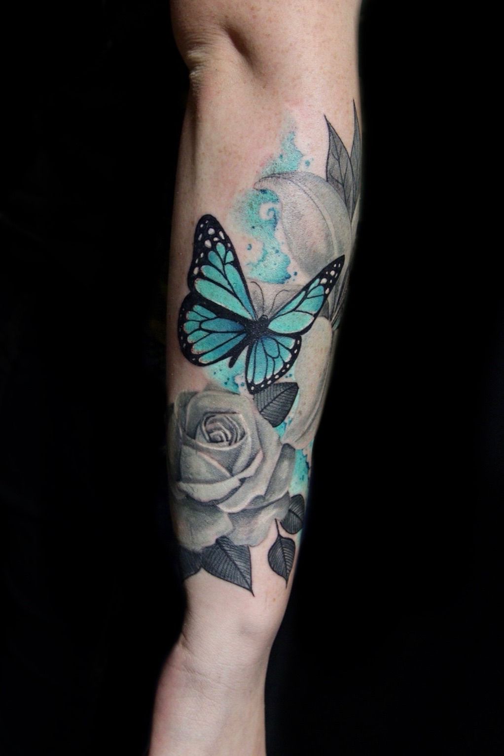 Black  Grey Butterfly  Under the Needle