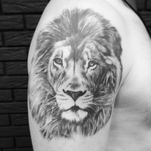 #тату #лев #зажившая #trigram #tattoo #lion #healed #inkedsense #tattooist #кольщик 
