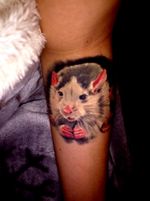 #rat #myfirsttattoo #myfriend #skun #tattooart #polandtattoos #tattoo #animal #realistictattoo #ratattoo #realism