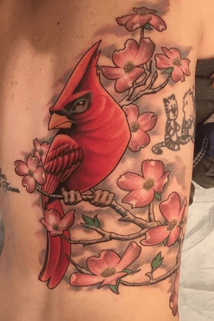 Cardinal tattoo by Daniel Farren
