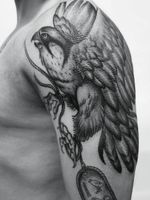 Falcon and cartoush #blackandgreytattoo #falcon #birdtattoos #halfsleeve #newyorktattoo 