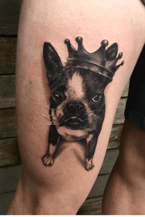 Black and grey portrait of a clients dog by inking_au