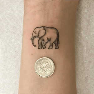 Super tiny elephant 
