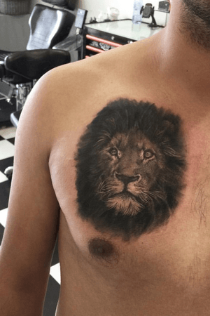 Really enjoyed doing this african lion tattoo. 