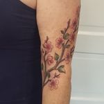 Cherry blossom branch #tattoo #tattoolife #tattooart #flowers #envyneedles #rosewatertattoo #tattoos #tattooartist #art #ink #inked #lynntattoos #inkedmag #portland #portlandtattooers #portlandtattoo #pdx #pdxartists #pdxtattooers #pdxtattoo #tattooed #tatsoul #fusiontattooink #fkirons #bestink #vegan #tattoosnob #cherryblossomtattoo #crueltyfree #eternalink