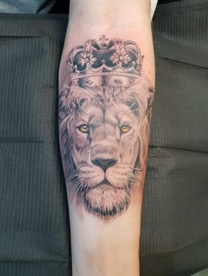 1sitting Lion king of kings #blacktowntattoo 