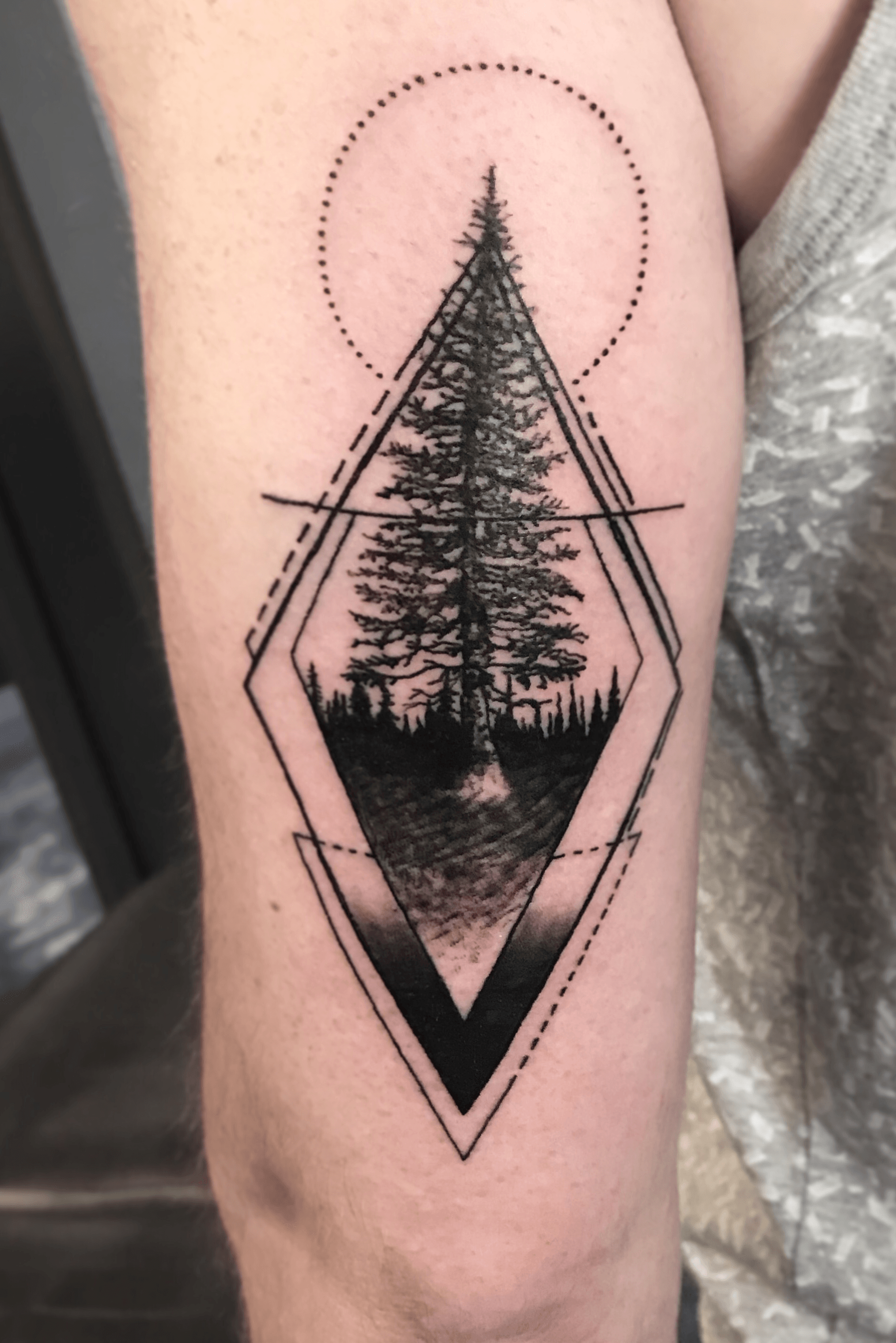 56 CaliforniaOregon tree tattoos ideas  tattoos tree tattoo forest  tattoos