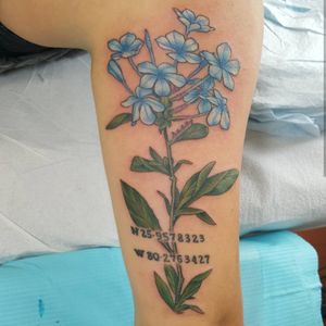 Flowers (lettering pre existing)#tattoo #tattoolife #tattooart #flowertattoos #flowers #rosewatertattoo #tattoos #tattooartist #art #ink #inked #lynntattoos #inkedmag #portland #portlandtattooers #portlandtattoo #pdx #pdxartists #pdxtattooers #pdxtattoo #tattooed #tatsoul #fusiontattooink #fkirons #bestink #vegan #tattoosnob #stencilstuff #crueltyfree #eternalink