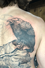 In progress, crow, raven, plague doctor, back peice, black and grey, realistic, realism, fine line, 3rl
