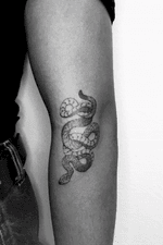 Snake tattoo #smalltattoo #nyctattooartist #cutetattoo #creativetattoo #nyctattoo #newyorktattoo #tattoonyc #illustration #blackwork #blackandwhiteillustration #tattoodesign #tattooideas #linetattoo 