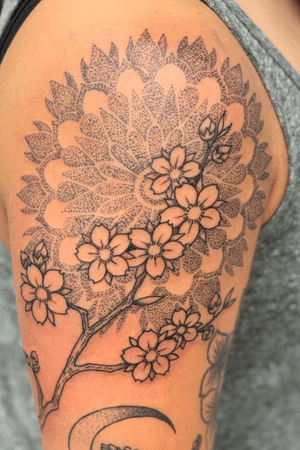 The most delicate is usually hiding the greatest of strength. . . . . . . . . . #cherryblossomtattoo #cherryblossom #tattoo #blackwork #blackworktattoos #blackworktattoo #dotwork #mandalatattoo #flower #flowertattoo #art #artist #sandiego #losangeles #Cityheights #northpark #hillcrest #tattoodo #sandiegotattooartist #sandiegoartist