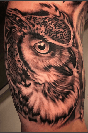 I’d love to do more owls  #blackandgrey #realistic #realism #owl 