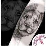 #love #family #lion #liontattoo #inkedbythebee #blackandgrey #labeille #InkAddiction #tattoist #inkternational