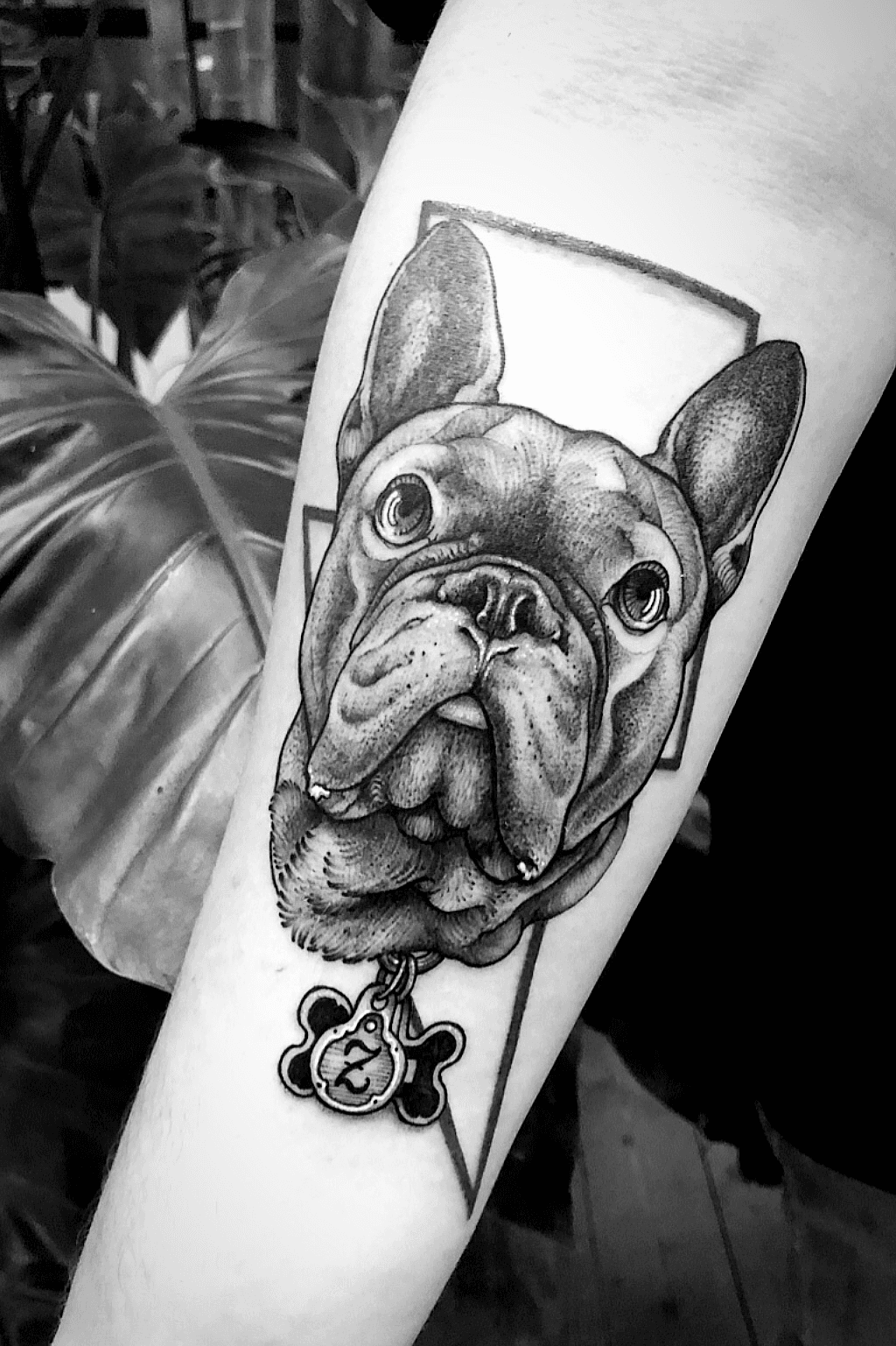 Tattoo Coloring Book French Bulldog Tattoo An Adult Coloring Book with  Awesome Sexy and Relaxing Tattoo Designs for Men and Women Summer  Scott 9798574624500 Amazoncom Books