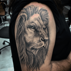 #blackandgrey #lion #realistic #poland 