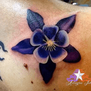 #tattooartist #tattooart #tattooblack #tattooartwork #tattooart #tattooblog #tattoocolor #ink #inked #inkedup #inkedgirl #inkedmag #inkart #flower 