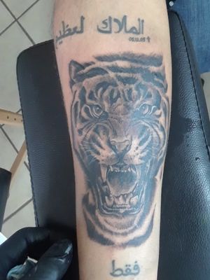 Tigre de Sumatra #blackandgray 
