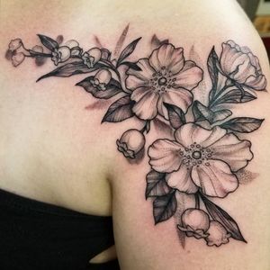 Floral shoulder chest piece.  #floral #cherokeerose #flowers #lilyofthevalleytattoo #bayareatattooartist #bayareatattoo #california #floraltattoo #botanical #holdfastrwc #redwoodcity #flower #flowertattoo 