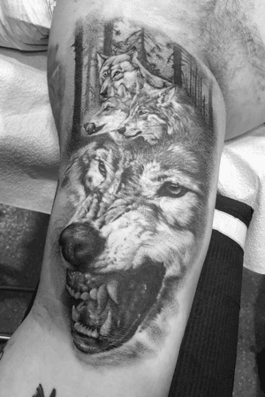 Hunger. Grey wolf, wolves, wolf pack, black and grey, realism, portrait, animal, wildlife, fine line, 3rl