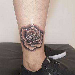 Rosa en black and gray