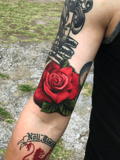 Realism rose