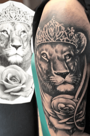 Lioness with rose