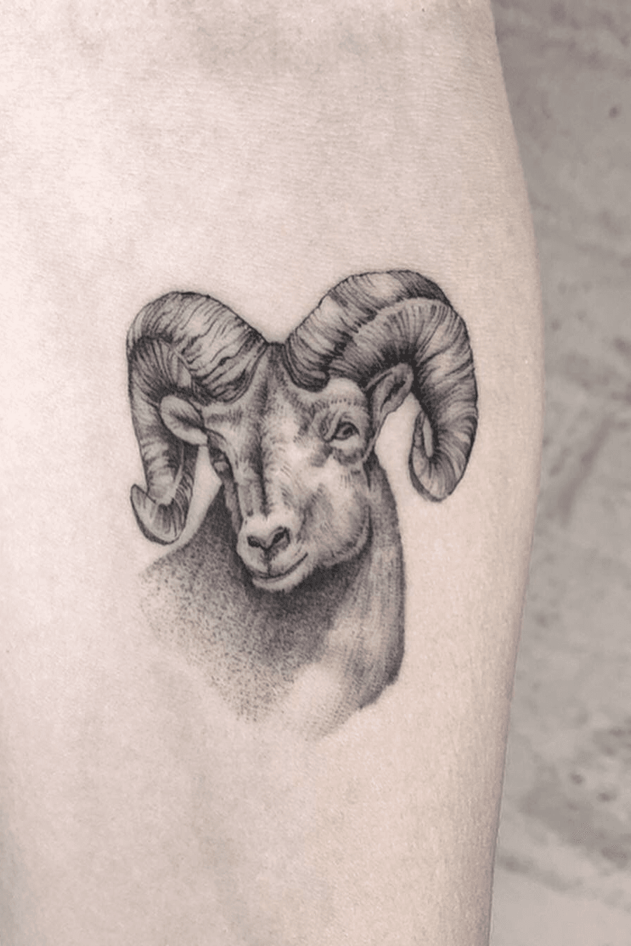 100 Ram Tattoo Designs For Men  Bighorn Sheep Ink Ideas  Ram tattoo  Chest tattoo men Tattoo designs men