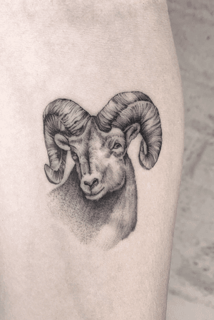 Big horn sheep #tattoo #tattoos #blackandgreytattoos #inkedmag#myinkaddict #lasvegas #tattooworkers #tattooartist #inked #blacktattoo #tattooart # #artist #floral#floraltattoo #lasvegastattoo #lasvegastattooartist #dotwork #iblackwork #artist #inked #animal #blxink #animaltattoo #peonies#crosshatch#blackworkerssubmission