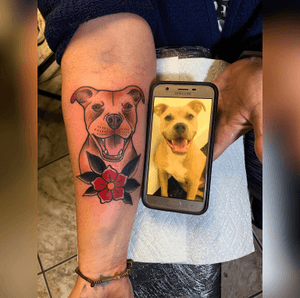 Today I got out of my comfort zone ... @lizaatfarrockaway wanted to get a #realismtattoo of her #pitbull Max , Since I don't focus my career in realism, I told her let me do my take to this concept & we created this dope piece 🎨🖊 Thanks liza for the trust definitely the most fun I had doing a tattoo in a while 🤟🏻 #TattzByAG #Surrealism #SurrealismTattoo #NeoTraditional #NeoTraditionalArt #NeoTraditionalTattoo #Traditional #TraditionalArt #TraditionalTattoo #nyc #nyctattoo #nyctattooartist #pitbulltattoo