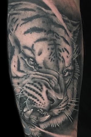 Tiger. Love a big cat! #tiger#tigertattoo#tigerportrait#tigertattooidea#bngtiger#amazingtattoos#bigcats#blackandgrey#blackandgreytattoo#bng#bngtatttoo#tattoo#renaissance#renaissancetattoo#renaissnacetattoostudio#bestblackandgrey#bestbngtattoos#realism#realistictattoo#realistictattoos#radtattoos#blackandgreyrealism#rickmansworth#rickmansworthtattoo#inkpplcom#petebtattoos