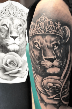 Lioness with rose 