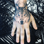 #wilk #wolf 