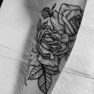 Roses by james