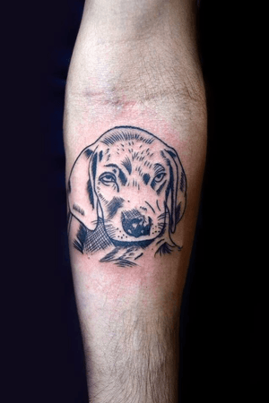 #dogtattoo #dog #cao #caotattoo #cachorro #tattoosketch #sketch #sketchtattoo #thiagopadovani