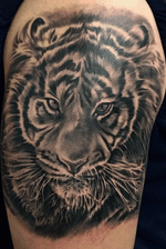 Tiger on Arm black and gray realism 