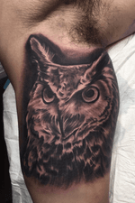 Owl on inner arm 
