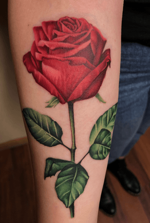 One of my favorite roses done to this day , done on a very patient client who sat for 7 hours to get this done in a single sitting.                                                 #rosesbyaxe #rosetattoo #realism #chicagotattoo #chicagoink #tattooartist #chicago #rose 